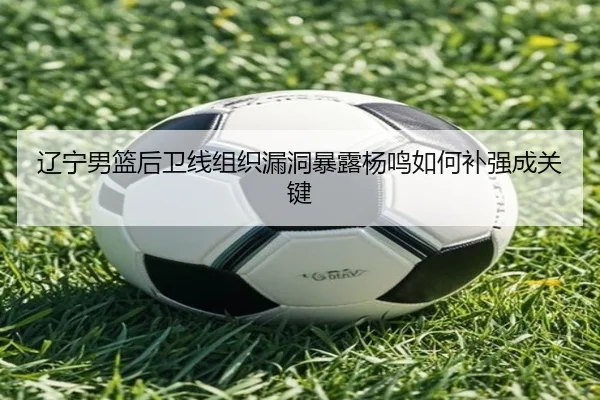 辽宁男篮后卫线组织漏洞暴露杨鸣如何补强成关键